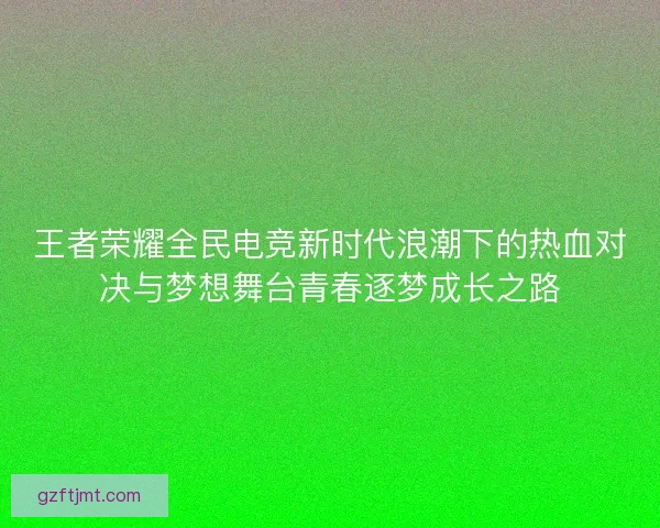 王者荣耀全民电竞新时代浪潮下的热血对决与梦想舞台青春逐梦成长之路