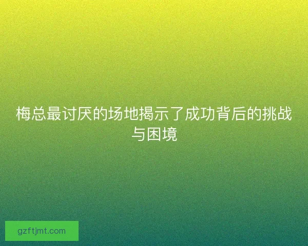 梅总最讨厌的场地揭示了成功背后的挑战与困境