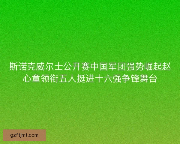 斯诺克威尔士公开赛中国军团强势崛起赵心童领衔五人挺进十六强争锋舞台